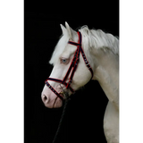 Standard Bridle - Cavesson Noseband Navy/Red Mini 