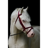 Standard Bridle - Cavesson Noseband Navy/Red Mini 