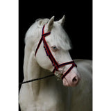A white horse wearing a red and navy blue standard bridle with a double thickness flash noseband and silver hardware