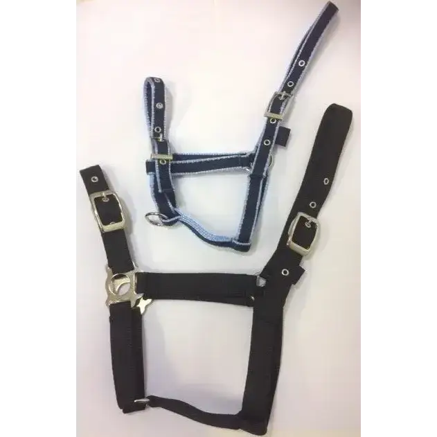 Standard Headcollar Black Mini 