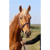 Standard Headcollar Black Mini 