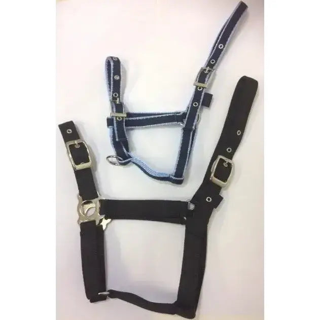 Black and blue denim standard headcollar with silver buckles made from soft webbing for small pony use with triple thickness
