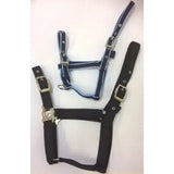 Black and blue denim standard headcollar with silver buckles made from soft webbing for small pony use with triple thickness
