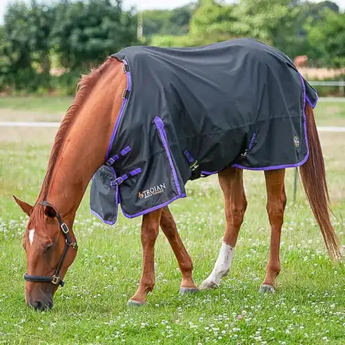 Standard Neck Turnout Rugs With No Necks