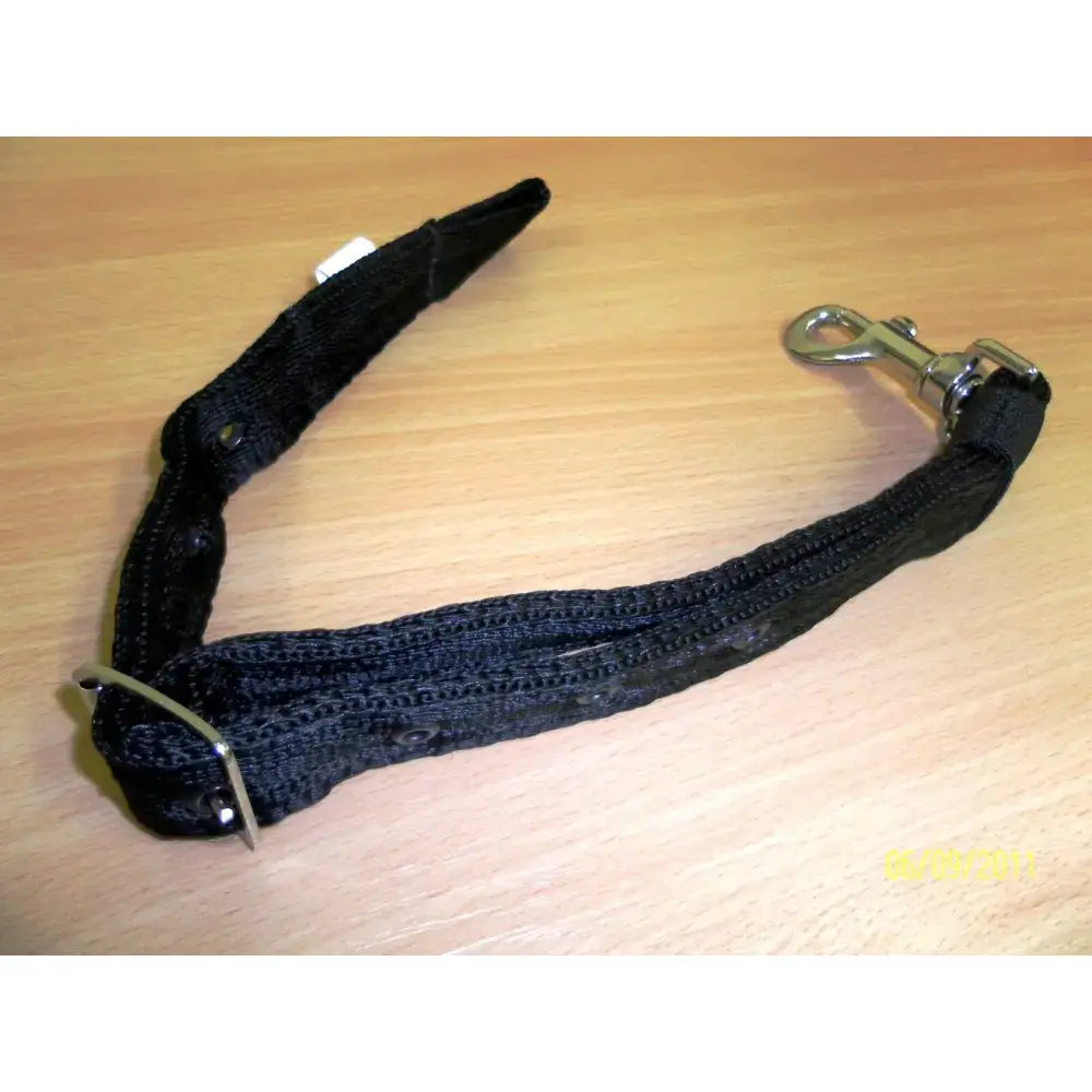 Black woven fabric 25mm web pet leash with silver clasp and buckle for libbys standing martingale attachment