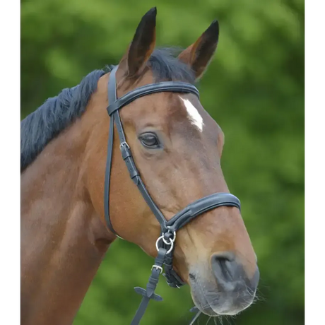 Star Bitless Bridle Black Pony Bitless Bridles
