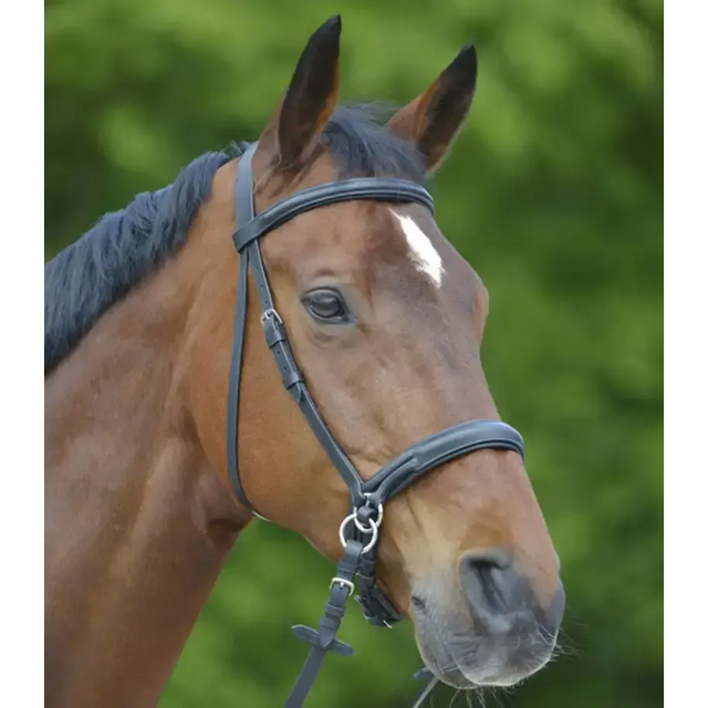 Star Bitless Bridle Black Pony Bitless Bridles