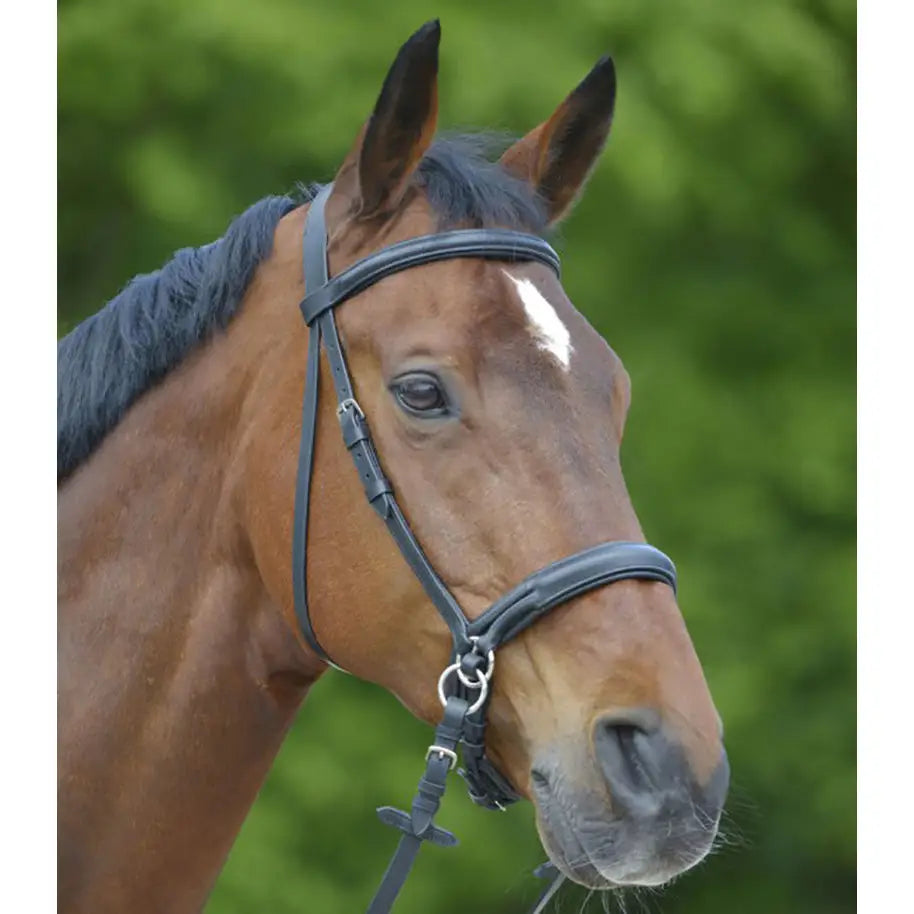 Black leather star bitless bridle with silver metal hardware designed for comfortable bitless riding