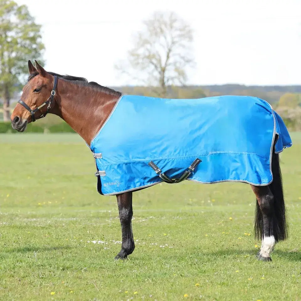 Brown horse in StormX Empra 0g Turnout Rug with a bright blue blanket