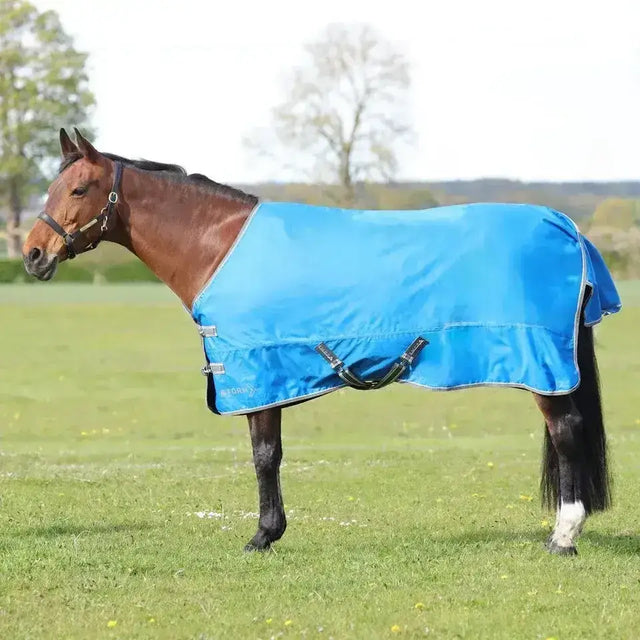 Bright blue stormx empra 0g turnout rug with black straps and silver hardware perfect for horse protection