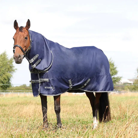 Horse in a navy blue StormX Empra Combi Turnout Rug resting in a field