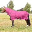 Vibrant magenta stormx empra combi turnout rug with gray trim and black buckles for all weather use