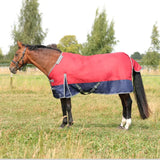 StormX Empra 200 Turnout Rug with out Detachable Neck