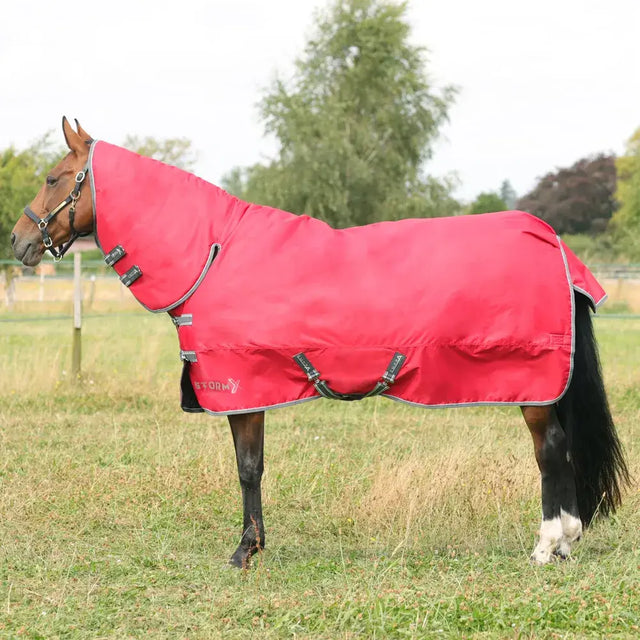 StormX Empra 300 Combi Turnout Rug