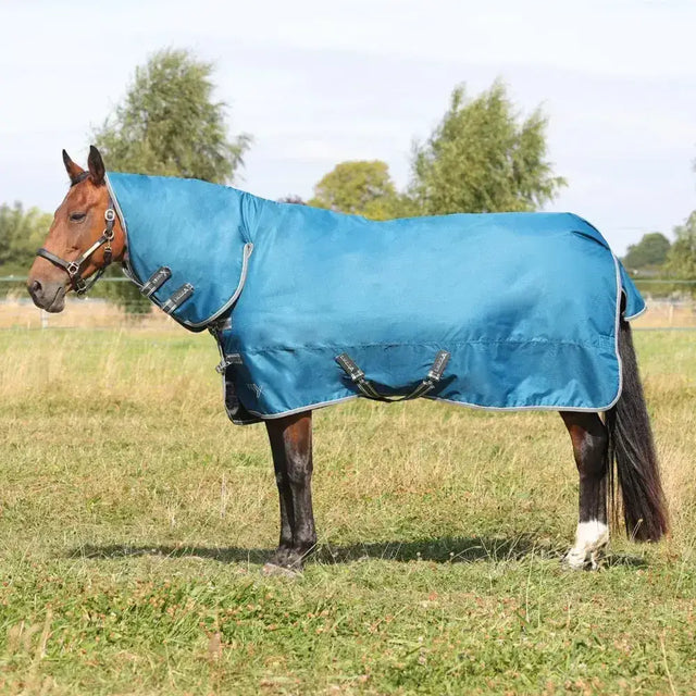 Blue stormx empra combi turnout rug with black straps and silver trim designed for outdoor use