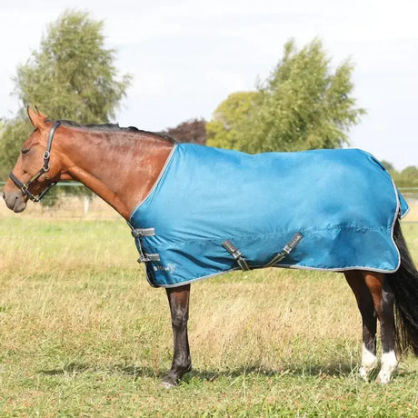 Blue stormx empra 50 turnout rug with black straps and silver trim designed for equestrian use