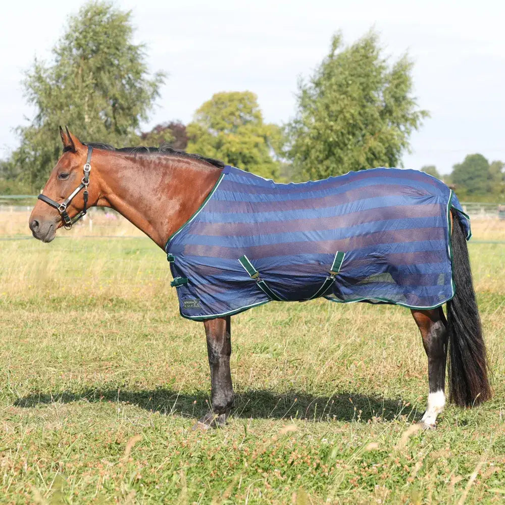 Horse in a blue and purple striped blanket featuring the StormX Empra Air Motion Cooler Rug