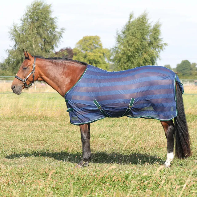 Horse in a blue and purple striped blanket featuring the StormX Empra Air Motion Cooler Rug