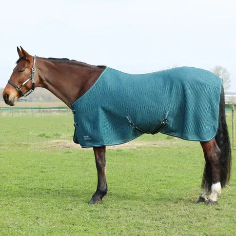 StormX Empra AirFlex 3D Rug Teal 4'6" Cooler Rugs