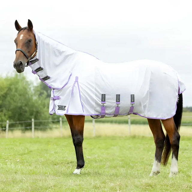 White horse fly veil with purple trim and twin adjustable buckle from stormx empra gladiator uv combi fly rug