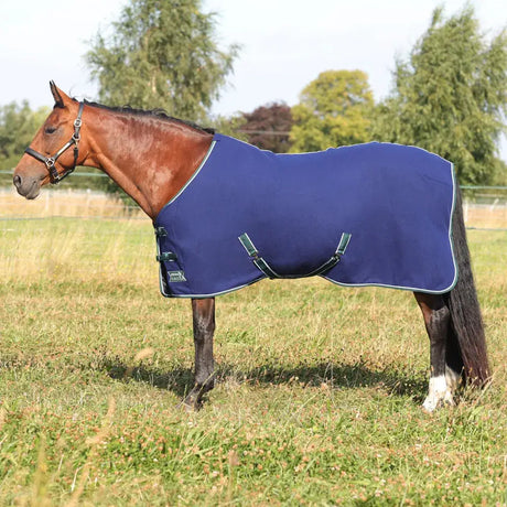 Brown horse in a blue blanket featuring the StormX Empra Opulence Fleece Rug