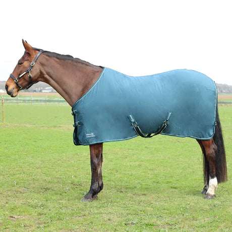 Horse in a teal blanket in a field wearing StormX Empra Pima Cotton Sheet