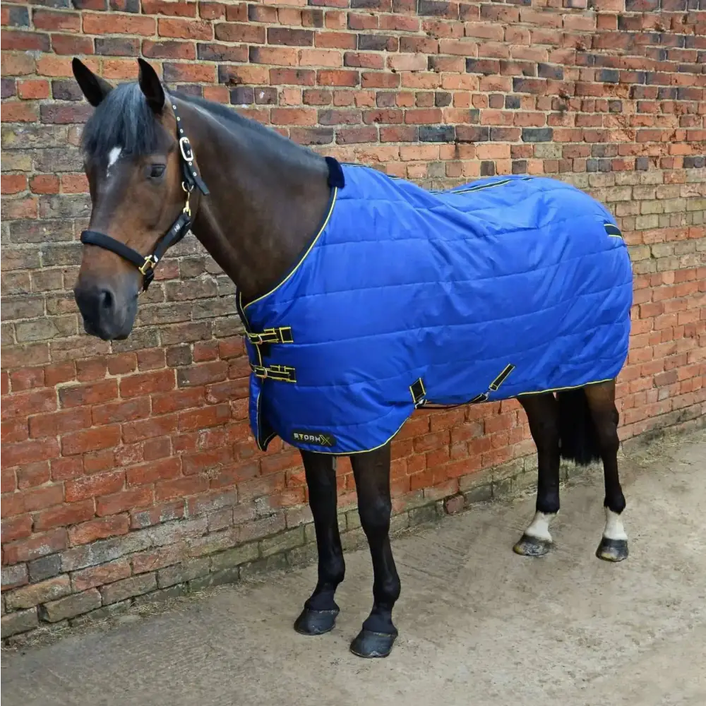 StormX Original 100 Stable Rug Navy/Red 3'0" Stable Rugs Barnstaple Equestrian Supplies