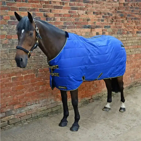 Bright blue quilted stormx original stable rug with black and yellow trim and stormx logo perfect horse’s pyjamas