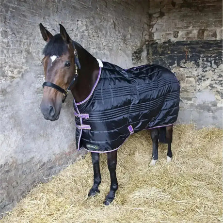 Black quilted stormx original 200g mediumweight stable rug with purple trim and twin buckle fastenings