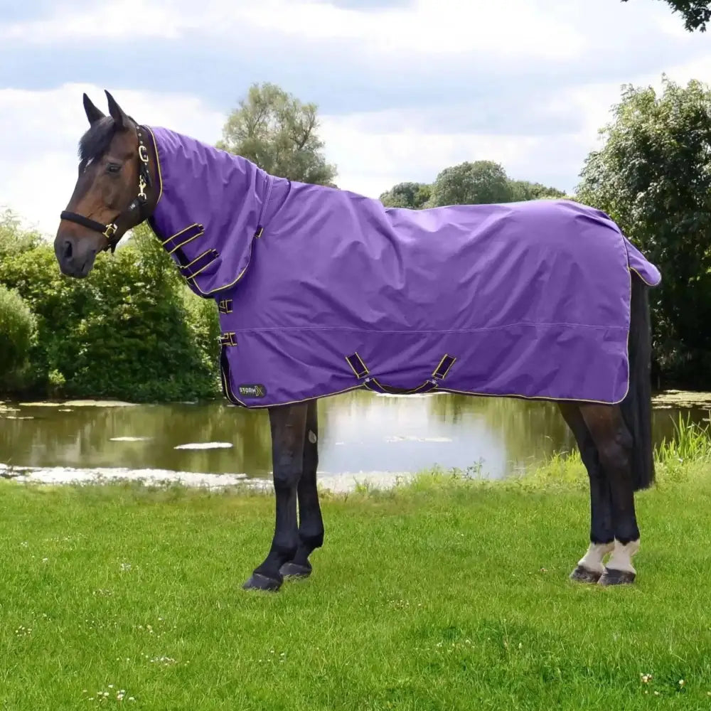 StormX Original 50g Combi Turnout Rug Purple/Dark Purple/Yellow 4'6" Turnout Rugs Barnstaple Equestrian Supplies