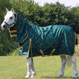 StormX Original Elegant Stirrup and Bit 200G Medium Combi Turnout Rugs 5'6" Turnout Rugs Barnstaple Equestrian Supplies