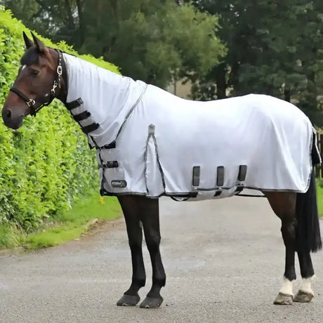 White StormX original Gladiator fly rug with black straps silver hardware made of micro-mesh fly material