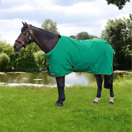 Green stormx original 0g turnout horse blanket with black straps and small logo on the side for all-weather use