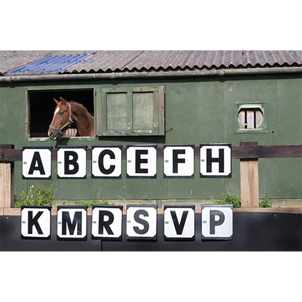 A brown horse with a white blaze looks out a green stable window beside wooden shutters in stubbs hook-on dressage letters markers 12