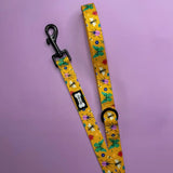 Summer Buzzin’ 5ft dog lead Pet Products