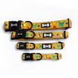 Summer Buzzin’ Dog Collar Xs 