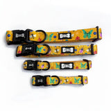 Yellow summer buzzin dog collar with playful butterfly and bee pattern black buckle bone tag for toy poodles