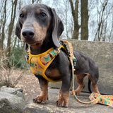 Summer Buzzin' No Pull Tactical Dog Harness – Yellow Insect Print, Adjustable, Step-In (XS-XL) S 