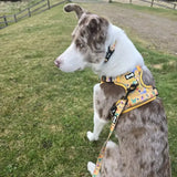 Summer Buzzin' No Pull Tactical Dog Harness – Yellow Insect Print, Adjustable, Step-In (XS-XL) S 