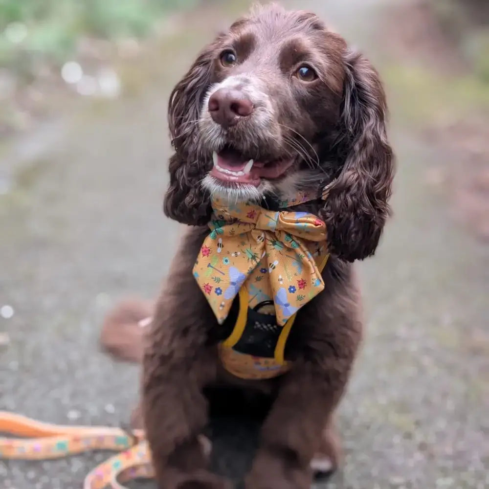 Summer Buzzin’ Sailor bow Pet Products