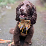 Summer Buzzin’ Sailor bow Pet Products