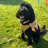 Summer Buzzin’ Sailor bow Pet Products