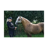 A light brown horse with a white blaze wearing a black and white bridle next to a supreme products active rider hoodie