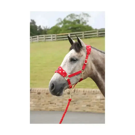 Supreme Products Dotty Fleece Head Collar & Lead Rope Rosette Red Small Pony Headcollar Sets