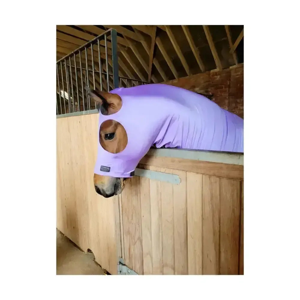 Supreme Products Lycra Hood Orange Foal/Mini Lycra Hoods