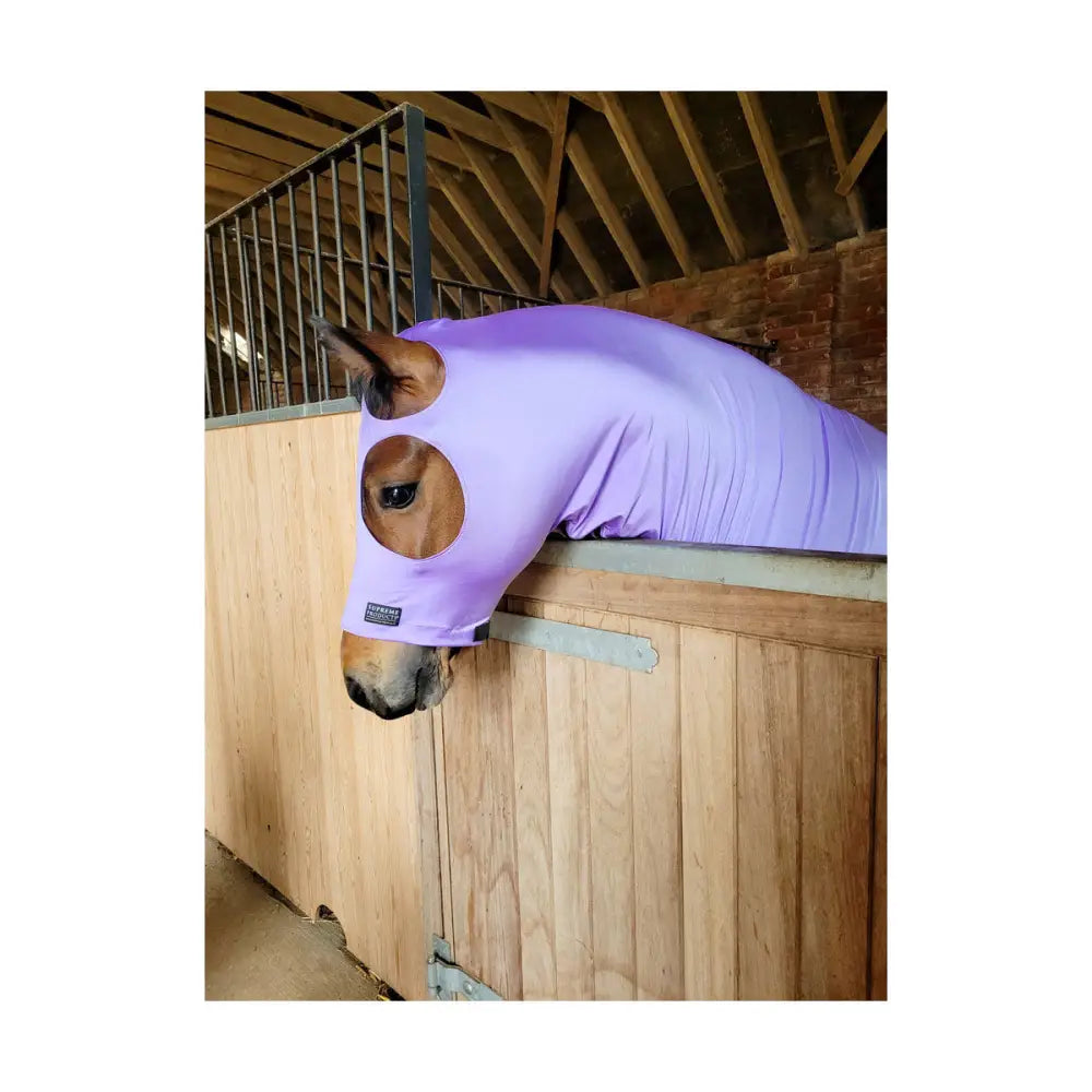 Supreme Products Lycra Hood Orange Foal/Mini Lycra Hoods Barnstaple Equestrian Supplies