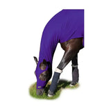 Purple stretchy lycra hood from supreme products lycra covers dark brown horse head and neck with eye and muzzle openings