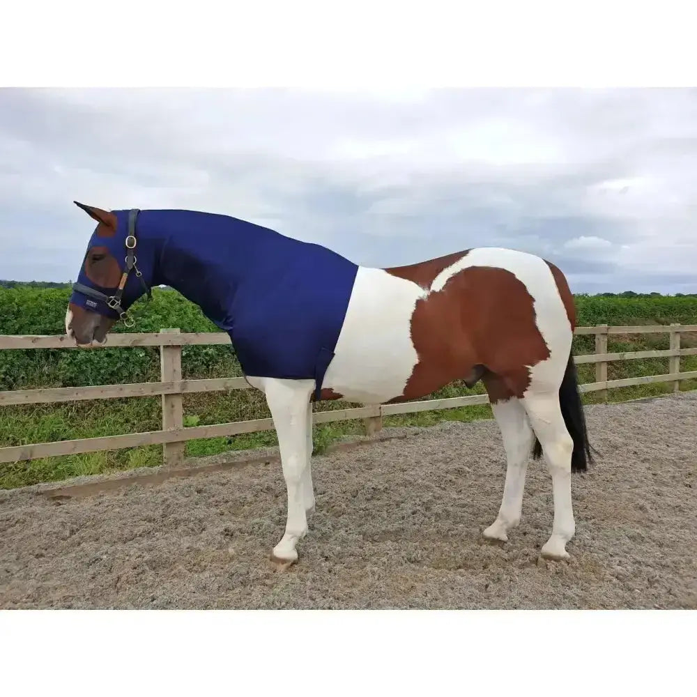 Blue lycra hood from supreme products two designed for keeping plaits intact and protecting horse ears