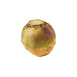 A round, earthy-toned swede with greenish-yellow skin and purple patches, perfect for equestrian horse treats