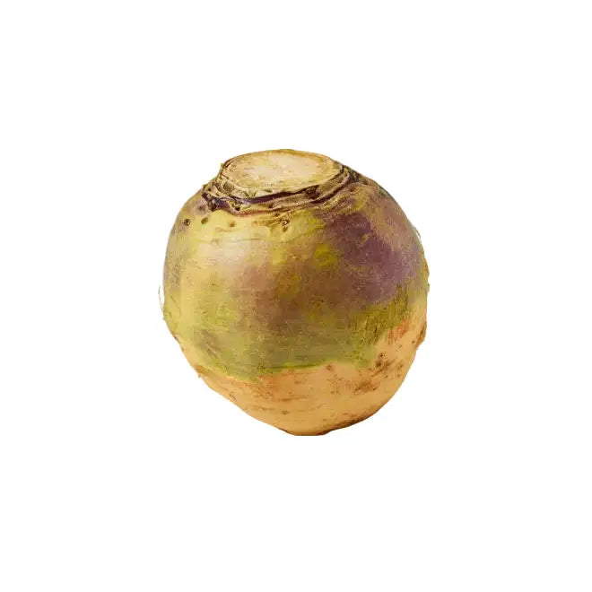 A round, earthy-toned swede with greenish-yellow skin and purple patches, perfect for equestrian horse treats